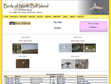 Tablet Screenshot of bullislandbirds.com